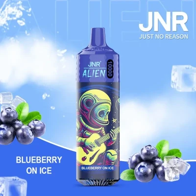 Blueberry On ice | JNR Alien 10K Puffs Disposable Vape